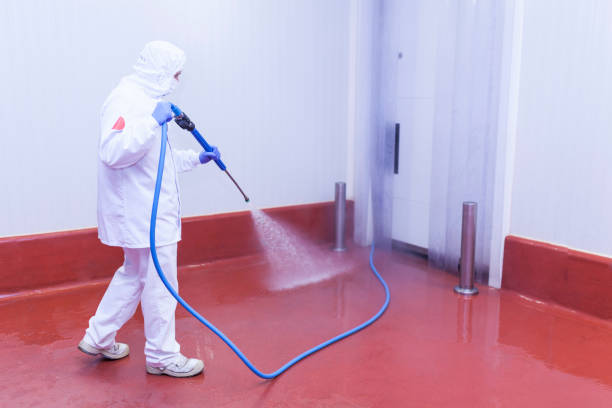  Fiskdale, MA Pressure Washing Pros
